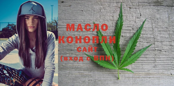 индика Приозерск