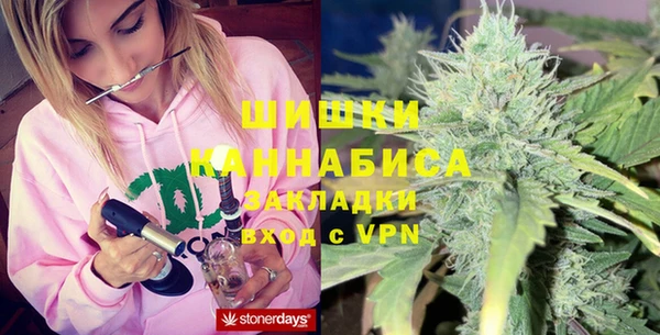 индика Приозерск