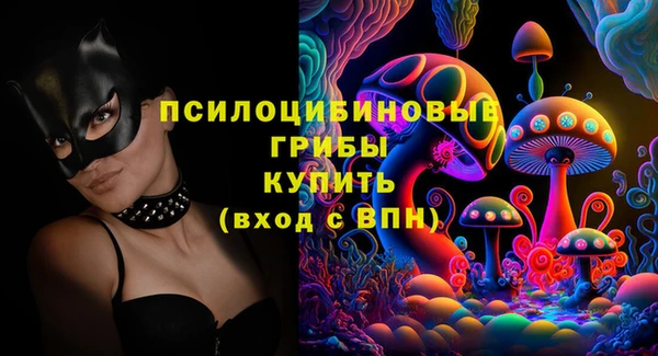 индика Приозерск