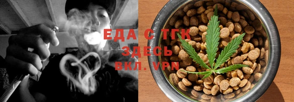 индика Приозерск